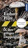 Essbare Pilze und ihre giftigen Doppelgänger: Pilze sammeln - aber richtig