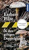 Essbare Pilze und ihre giftigen Doppelgänger: Pilze sammeln - aber richtig