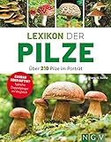 Lexikon der Pilze - Über 210 Pilze im Porträt: Essbar oder giftig? Typische Doppelgänger im Vergleich